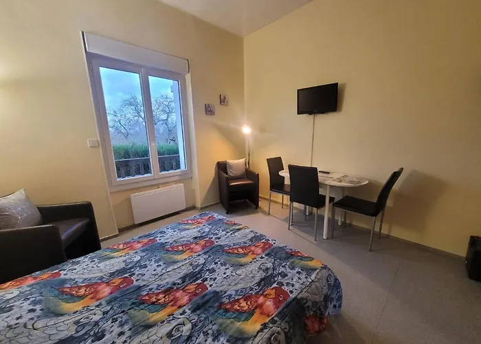 Studio Rez De Chaussee Meuble
